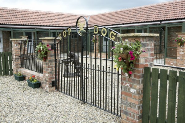 boarding kennels for dogs top kennels luxury boarding kennels in york boarding kennels for dogs top kennels luxury boarding kennels in york